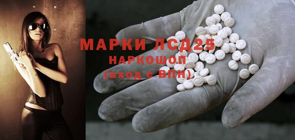 шишки Карпинск