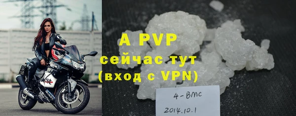 шишки Карпинск