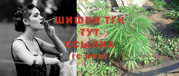 дживик Киренск