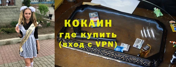 шишки Карпинск