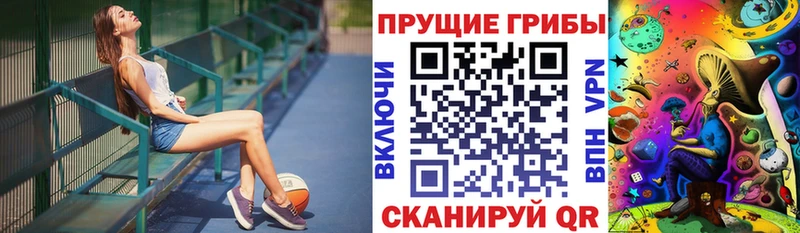 Галлюциногенные грибы Psilocybe  Купить  Комсомольск 